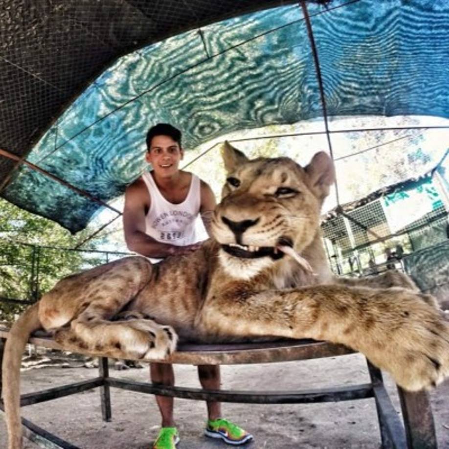 El joven modelo, Joseph Croes, murió el 28 de diciembre embestido por un vehículo mientras se conducía en su motocicleta.