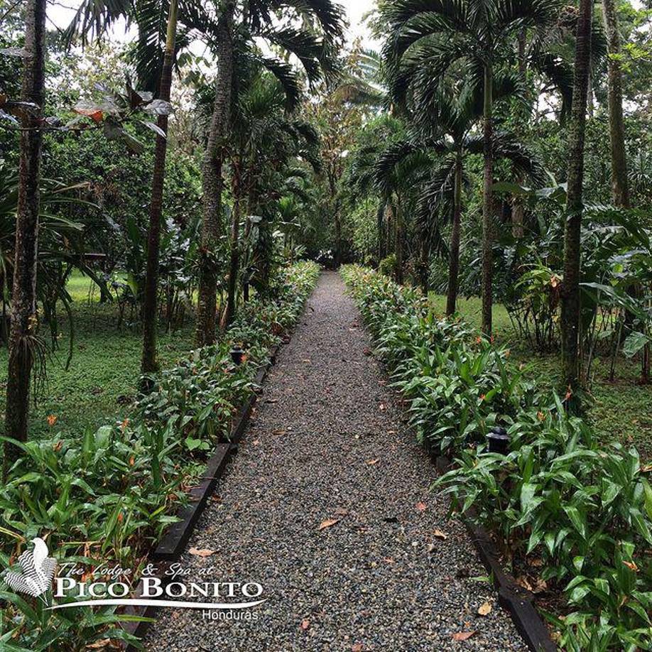 Este increíble destino turístico se encuentra al pie de las magníficas laderas cubiertas de bosques lluviosos del Parque Nacional Pico Bonito.