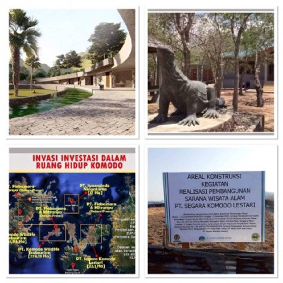 El gobierno busca instalar una atracción turística en el hábitat de los dragones de Komodo; la UNESCO advirtió por el impacto ambiental y hace todo lo posible para detener la construcción. El programa indonesio no quita el dedo del renglón y prolifera mensajes para salvar a la especie en el país.