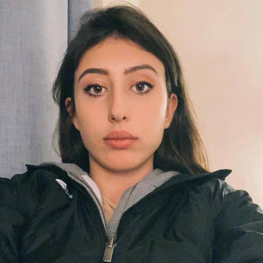 El trato a los periodistas, sobre todo occidentales, en Irán, ha sido criticado en los últimos años por organizaciones pro derechos humanos.