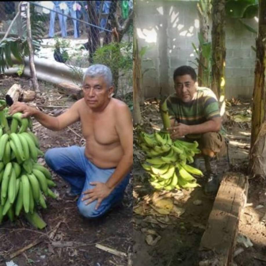 Xavier Torres y una curiosa imagen: 'En plena cosecha...siguiendo los pasos de mi viejo.. y compartiendo el gusto por la siembra', escribió.