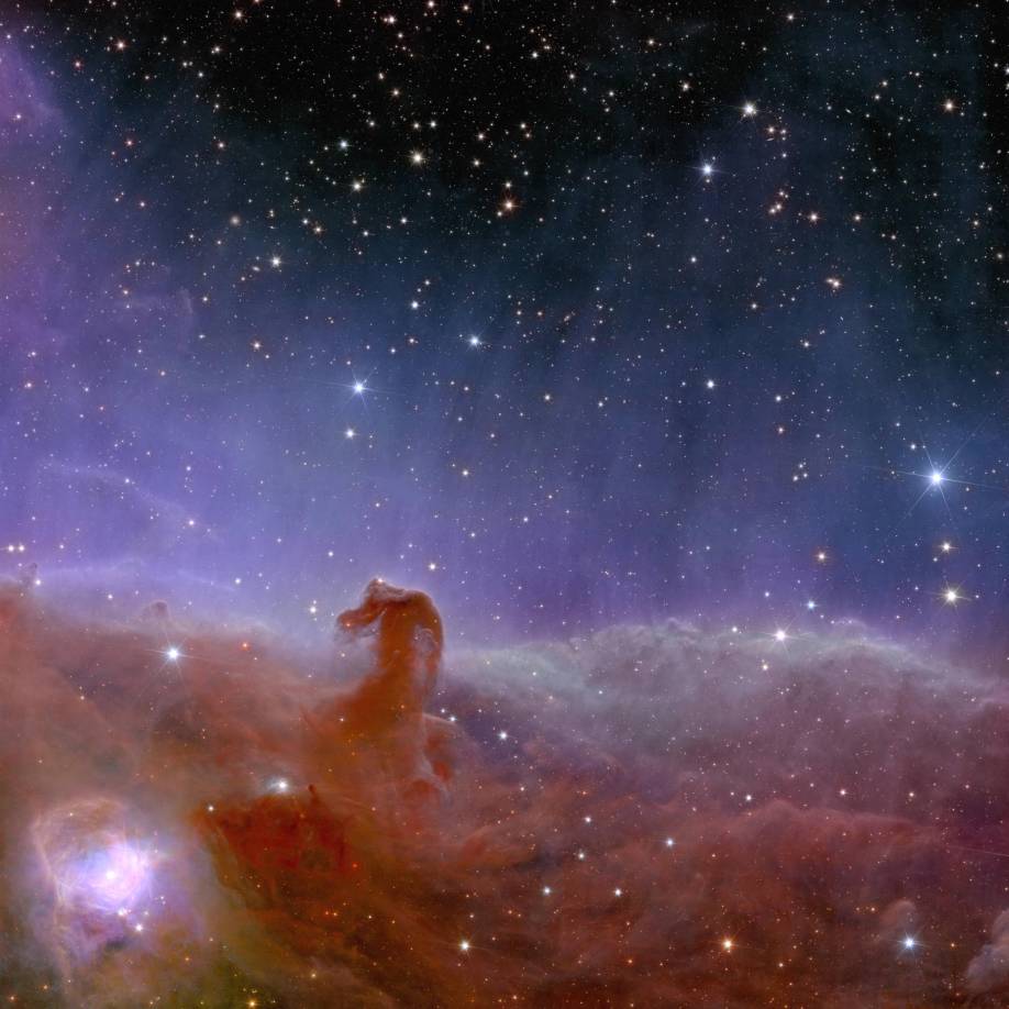 La espectacular imagen de la nebulosa “cabeza de Caballo”, también conocida como Barnard 33 y que forma parte de la constelación Orión, donde los científicos esperan encontrar muchos planetas oscuros y previamente invisibles de masa similar a la de Júpiter en su infancia celeste, así como jóvenes enanas marrones y estrellas bebé.