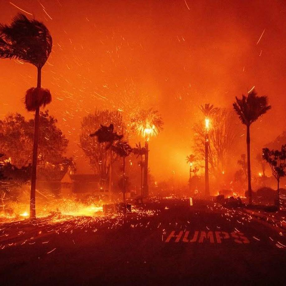 <b>Sharon Stone</b> fue la primera celebridad en sumarse a esta causa. El miércoles, la actriz de <i>Bajos instintos </i>compartió un video en su cuenta de Instagram en el que mostró el espacio de +COOP y solicitó donaciones de ropa usada en buen estado, zapatos, ropa de cama, guantes, calcetines nuevos o incluso <i>gift cards</i> para centros de abasto.