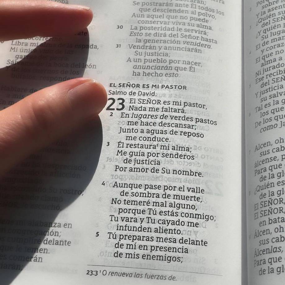 La artista también expresó su gratitud a los medios de comunicación por su apoyo y prudencia en este momento tan delicado, y agradeció a todos por sus sinceros pésames.