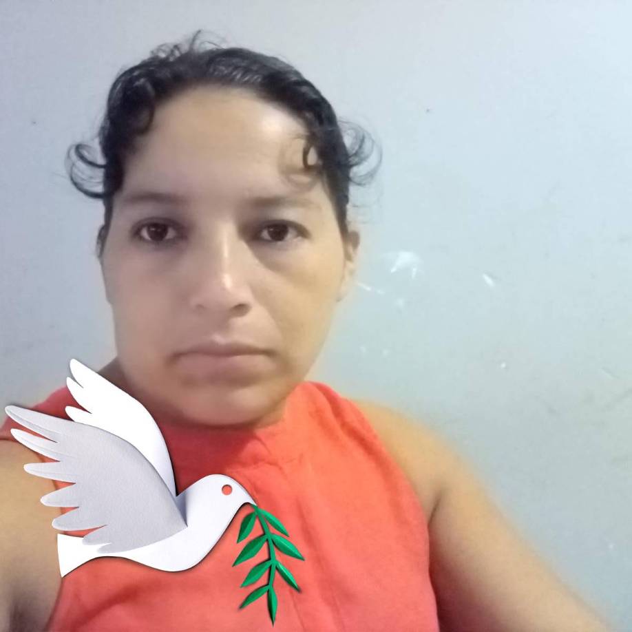 Los custodios del vehículo informaron que, al llegar a la carretera CA-11, a la altura del restaurante rústico de San Juan de Opoa, escucharon ruidos en la parte trasera del vehículo. Al inspeccionar, encontraron a Orellana Benítez sin signos vitales y con un cordón de zapato alrededor del cuello, sugiriendo un aparente suicidio.