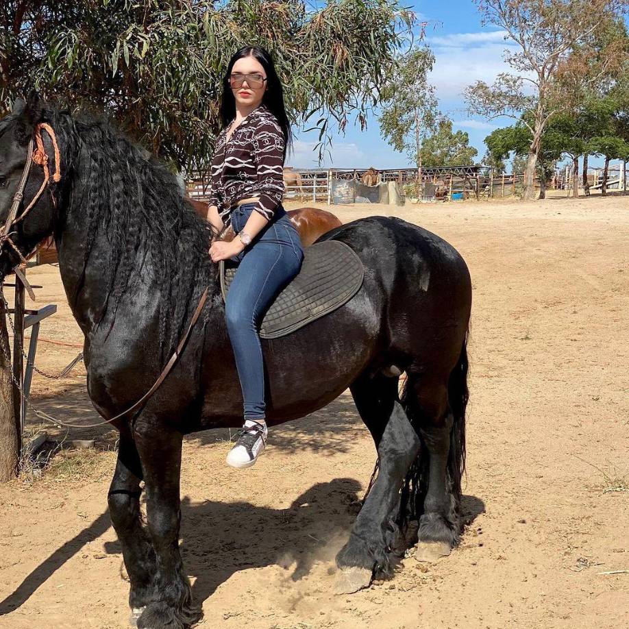 A través de un comunicado, la dependencia estatal informó que la detención se efectuó sobre la avenida Montes de León del fraccionamiento Villas del Rey en donde los agentes estatales llevaban a cabo un recorrido de prevención y vigilancia.