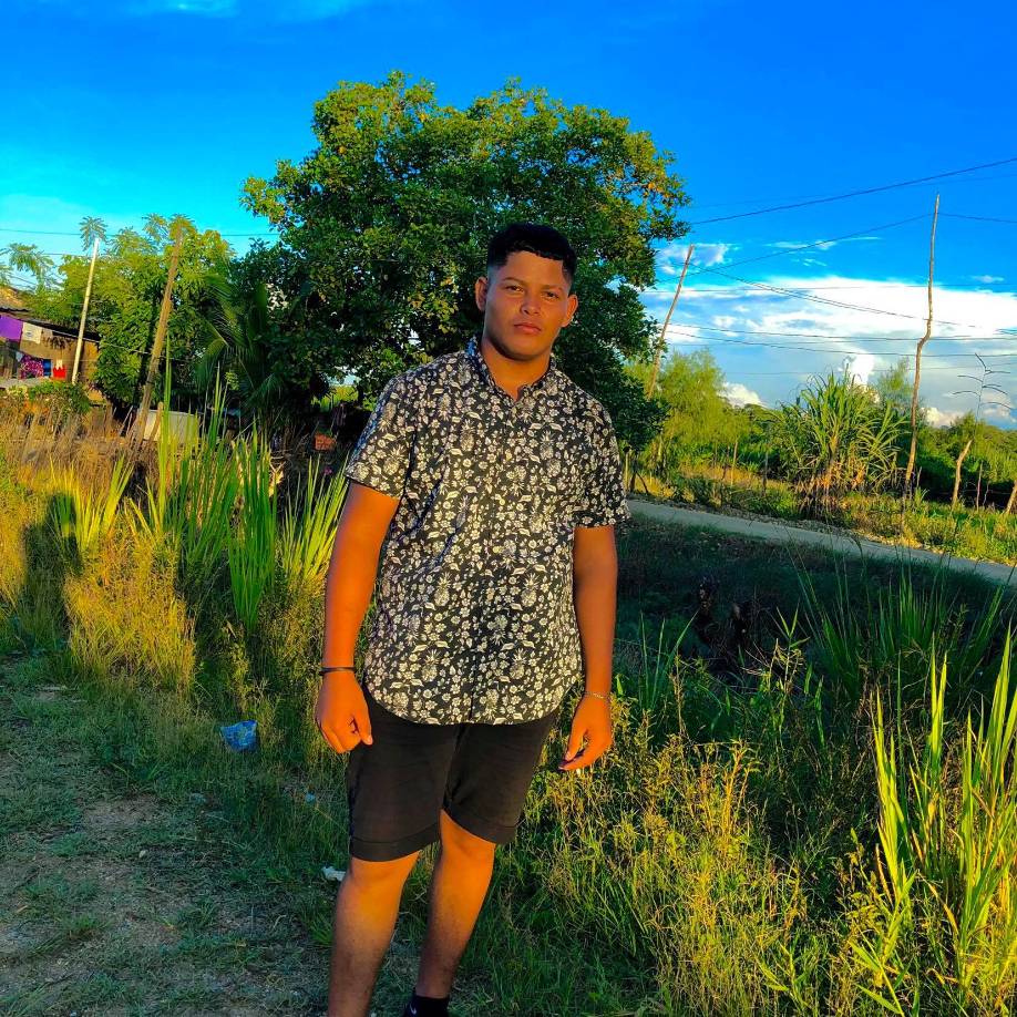 El informe preliminar indica que Luis Fernando había estado saltando al agua y de repente no se le volvió a ver con vida.