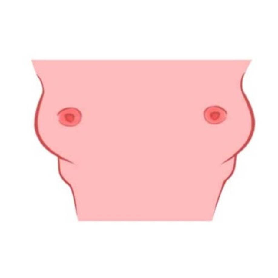 5. Forma de cereza (firmes y separado)<br/>La pasión, el coraje y entusiasmo son las cualidades que posee en abundancia. Tu amor por entretener te hace el anfitrión perfecto y lo logras maravillosamente. No tomas mucho tiempo para tomar decisiones ya que estás más inclinada a seguir tus instintos, lo que te ha mantenido en una buena posición hasta ahora.<br/><br/>Das vida a las fiesta, eres la chica con la que la gente adora pasar el rato.