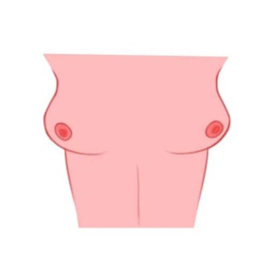 3. Forma de manzana (pequeñas, mirando hacia afuera e inclinadas hacia abajo)<br/>La aventura es lo que saca a relucir tu verdadero yo, lo que te gusta, lo que exploras y el espíritu libre que eres. Tus pensamientos son liberales y tienes un punto de vista progresivo que te mantiene en una buena posición. Tu encanto es algo que las personas encuentran increíblemente irresistible, dado lo espontánea, divertida y elegante que puedes ser.<br/>