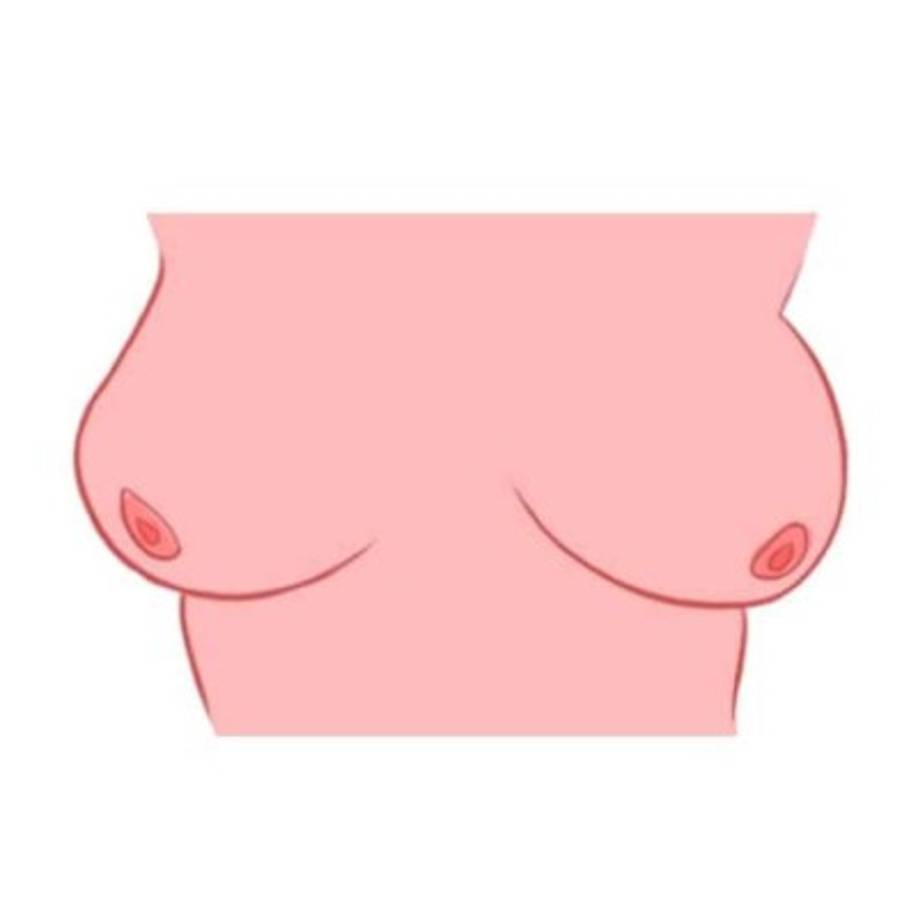 9. Forma de Naranja (medianos, redondos y orientados hacía afuera)<br/>Una persona trabajadora, diligente y con un corazón de oro es la forma en la que pueden describirte, pero eso no es todo lo que eres. También eres una excelente juez de carácter y prestas mucha atención a los detalles. Esto hace que sea extremadamente difícil mentirte y el hecho de que entienda bien a las personas te hace más consciente de ti misma que de los demás. Eres muy observadora, pero no juzgas, una cualidad que no todos tienen.