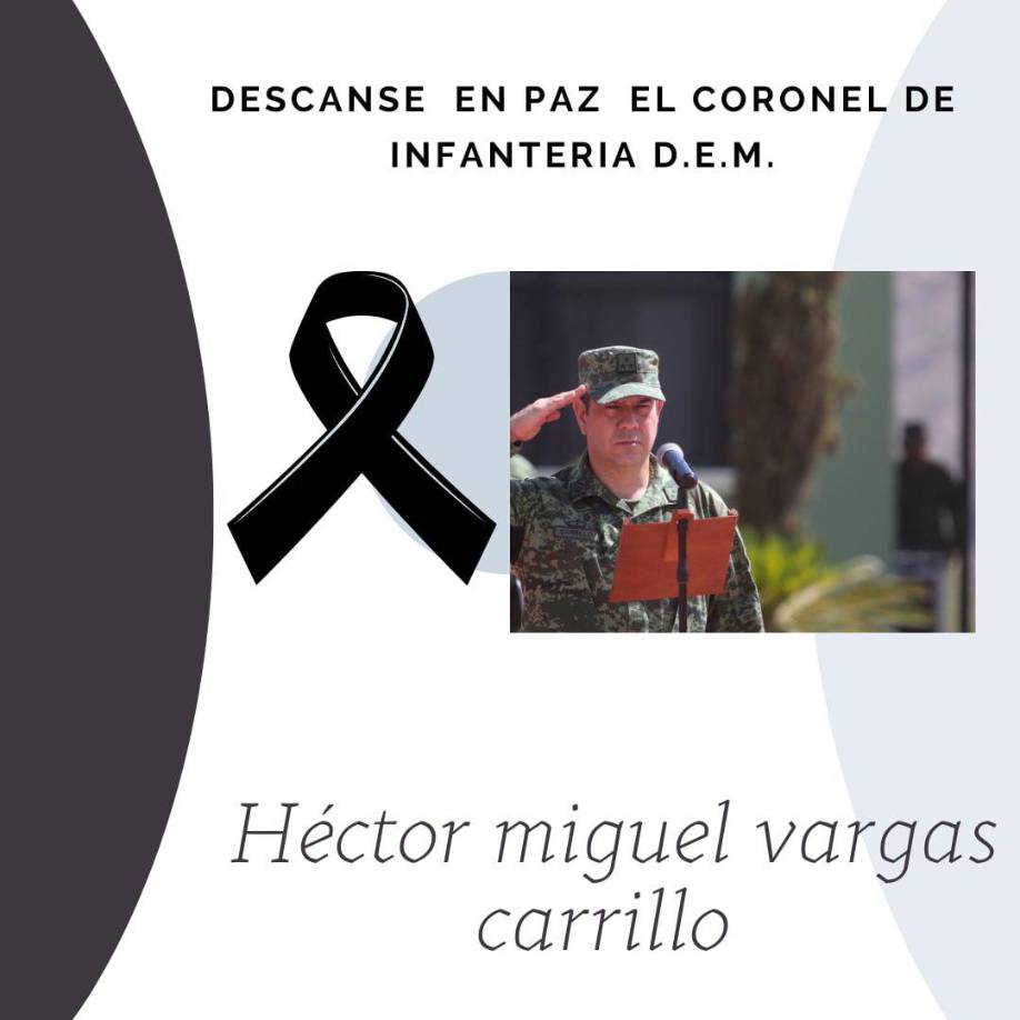 De acuerdo con los reportes, el convoy militar patrullaba la zona limítrofe del municipio con Aguililla. En ese momento un grupo fuertemente armado les disparó desde diferentes puntos en plena zona serrana dejando una persona muerta y seis heridas.