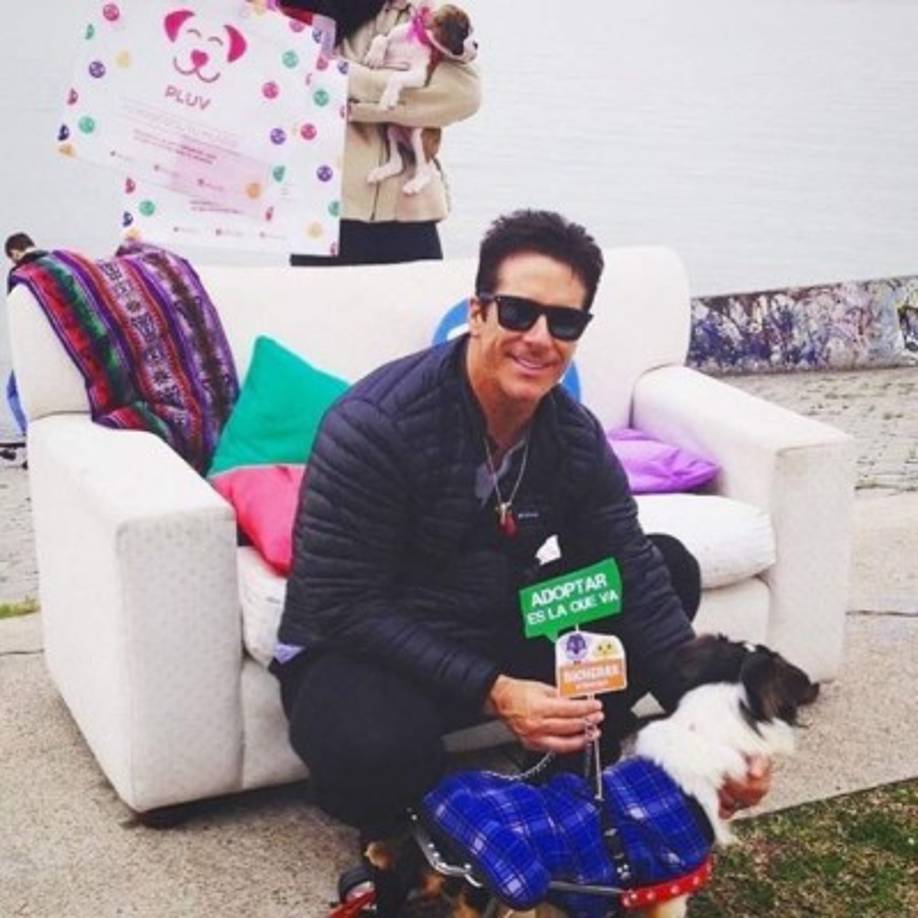 La bailarina dijo: 'Nada más, de eso están armando un circo, le están buscando el pelo al huevo, una locura. No era mi intención, te pido mil disculpas, pero la verdad te digo, me están volviendo loca de ahí”.