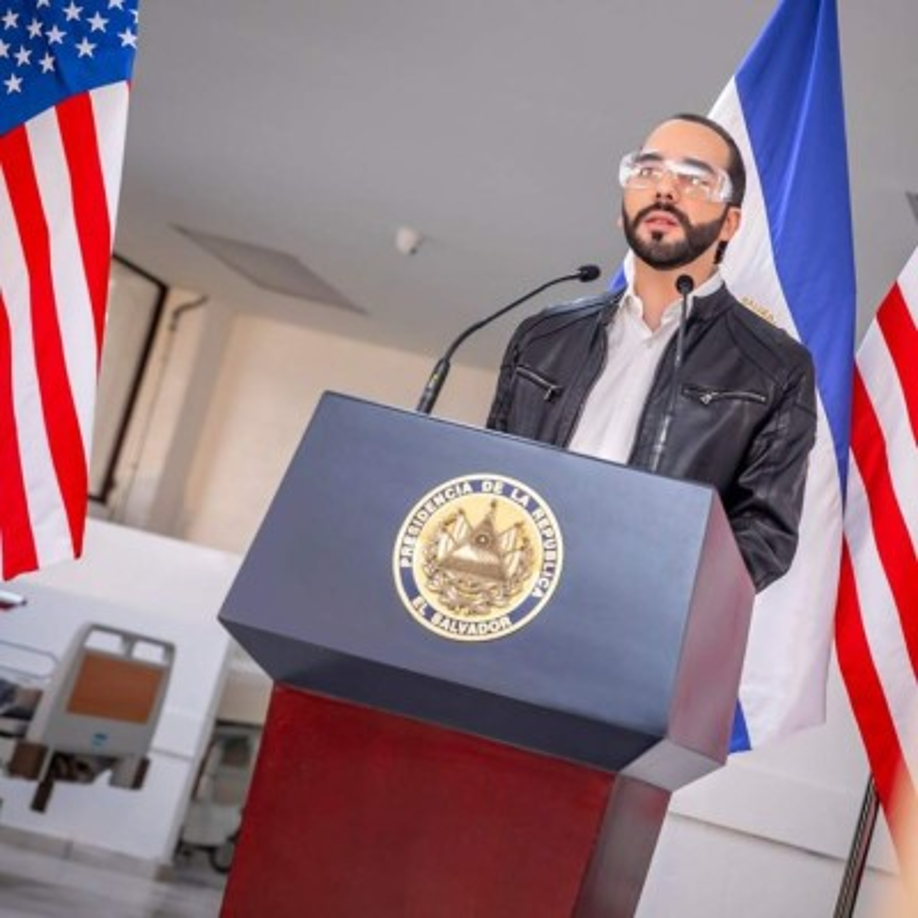 Nayib Bukele - Presidente de El Salvador: <br/><br/>El presidente salvadoreño recibe un salario mensual en dólares de $5,181.72.<br/><br/>Mientras fue alcalde de San Salvador, Bukele fungió como ad honorem y donó su sueldo para el programa Becas por Notas. El Portal de Transparencia y la Ley de Salarios no reflejan si Bukele cobró este salario o lo reorientó a programas del mismo Gobierno.