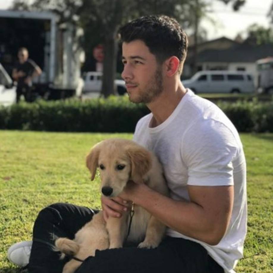 Aunque ella que en realidad no sabía mucho de él y de su carrera. 'En realidad, no sabía mucho sobre ellos. Digo, todos conocían a los hermanos Jonas”, alegó Priyanka Chopra para luego continuar. 'Simplemente yo no sabía de su música. Conocía algunas canciones, pero no sabía mucho sobre ellos', agregó la actriz.<br/>