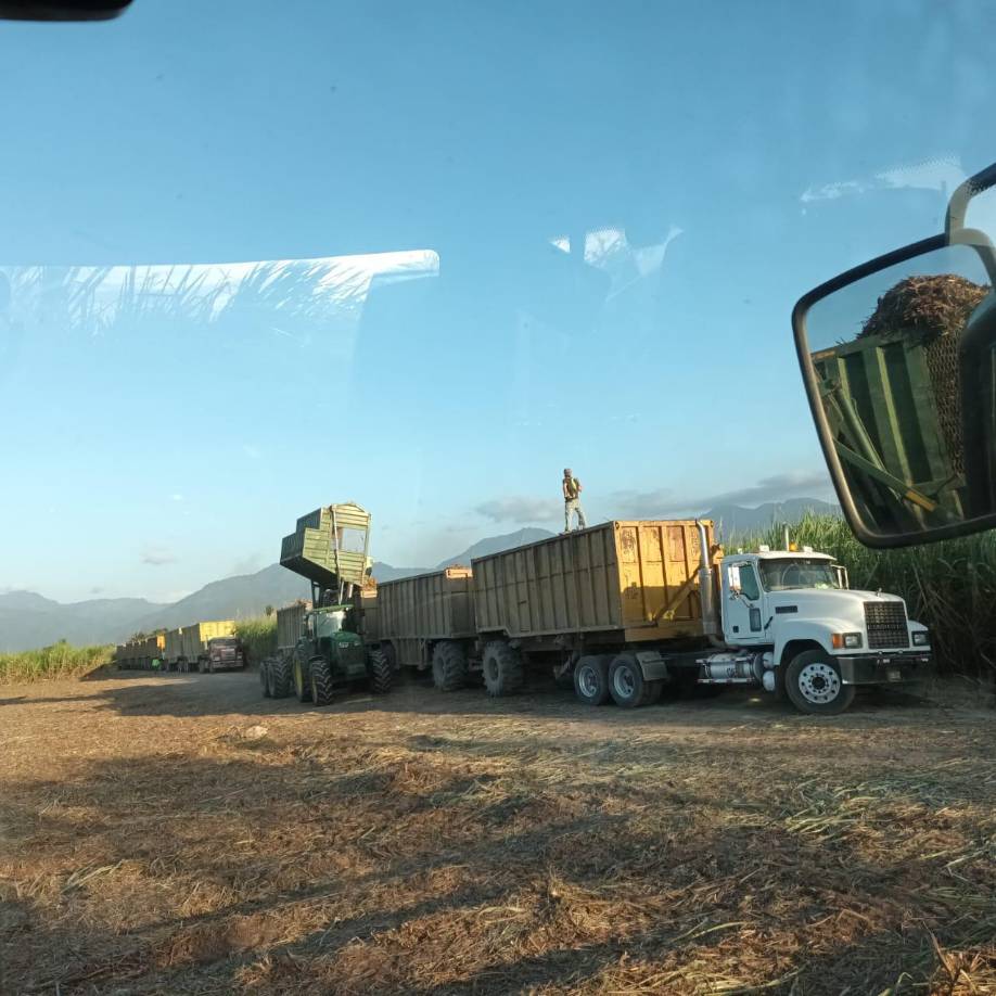 Tania primero sacó un técnico como viverista en el Centro Nacional de Formación Agrícola, (CENFA) que es una unidad del <i>Infop que está </i>ubicado en la ciudad de La <i>Paz.</i>