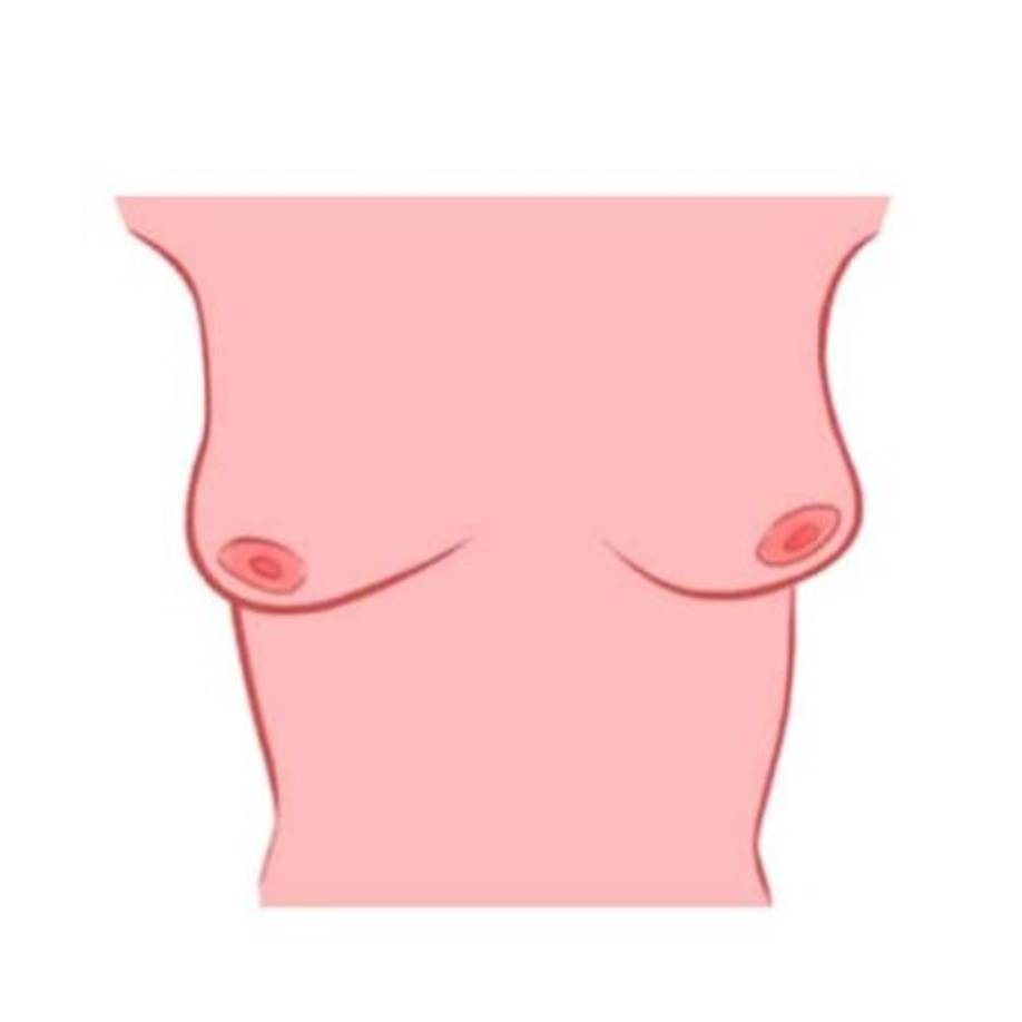 11. Forma de ciruela (pequeñas, con pezones hacia abajo)<br/>Enérgica, encantadora y una bola de fuego ambulante, tu entusiasmo es contagioso. Inevitablemente te conviertes en el centro de atracción debido a tu entusiasmo juvenil. Prosperas en los riesgos y eres una exploradora nata, no solo de lugares sino de personas y emociones. Tienes una visión matizada de la vida, cuidadosamente construida y libre de juicios. Así que no te sorprendas si la gente sigue sintiéndose atraída por ti, es tu personalidad la que los atrapa.