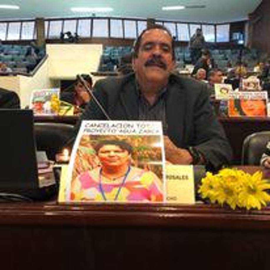 En política, Zelaya inició su camino en 1985, de la mano de su hermano José Manuel Zelaya Rosales. Coordinó su campaña como diputado en el municipio de Dulce Nombre de Culmí, un bastión electoral de ese departamento, por el Partido Liberal. 