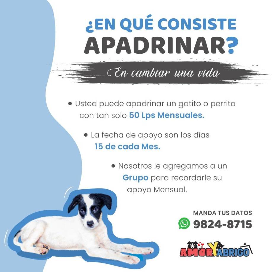 También puede apoyar el programa de apadrinamiento para cambiar la vida de los animalitos rescatados.