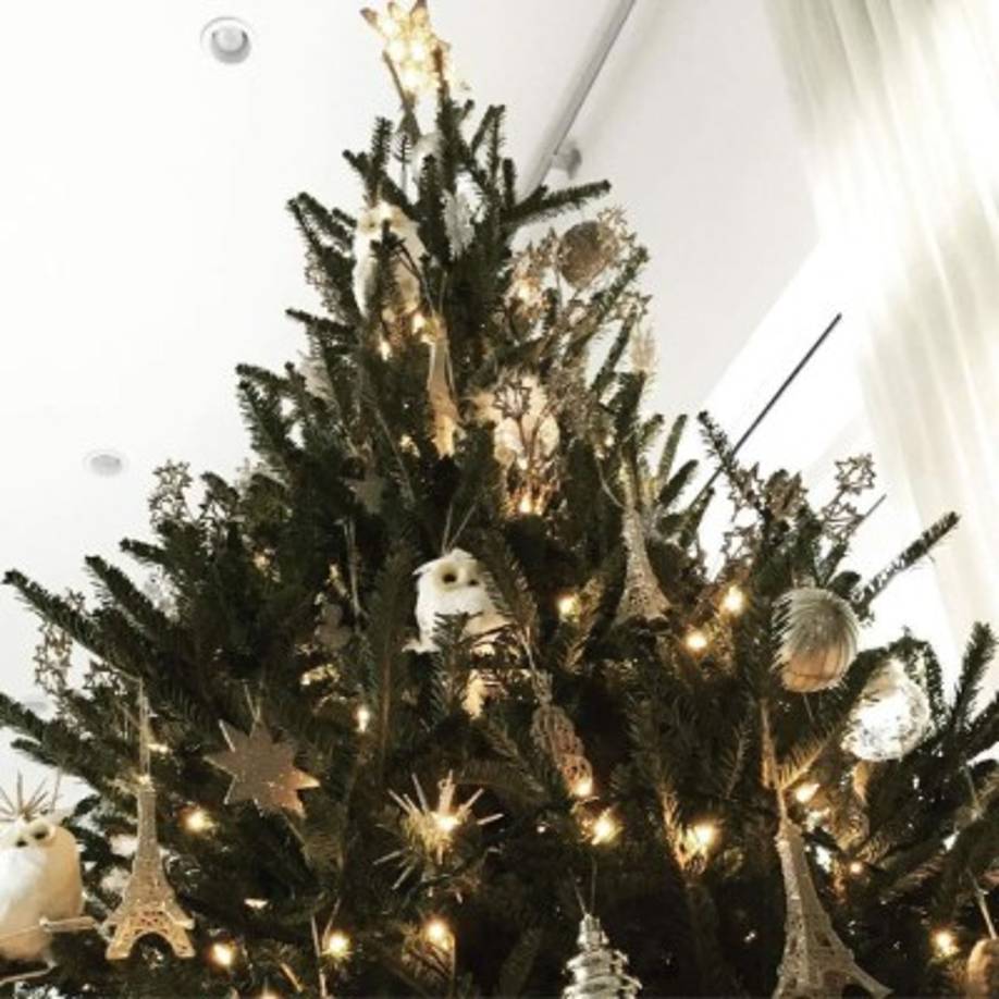 El árbol de Chiquinquirá Delgado.