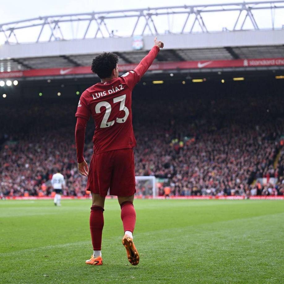 ”Cada segundo, cada minuto crece nuestra angustia; mi madre, mis hermanos y yo estamos desesperados, angustiados y sin palabras para describir lo que estamos sintiendo. Este sufrimiento solo terminará cuando lo tengamos de vuelta en casa”.