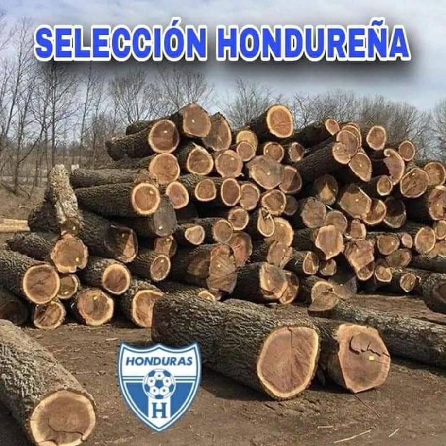 Los divertidos memes que dejó la goleada que sufrió Honduras contra México (4-0) en la vuelta de cuartos de final de la Nations League de la Concacaf.