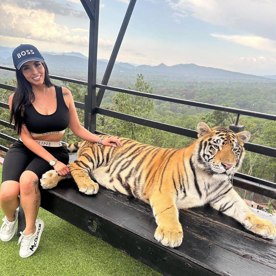 González Núñez también se dedicaba al robo de hidrocarburos, una de sus principales actividades dentro del grupo liderado por Nemesio Oseguera Cervantes, alias “El Mencho.”