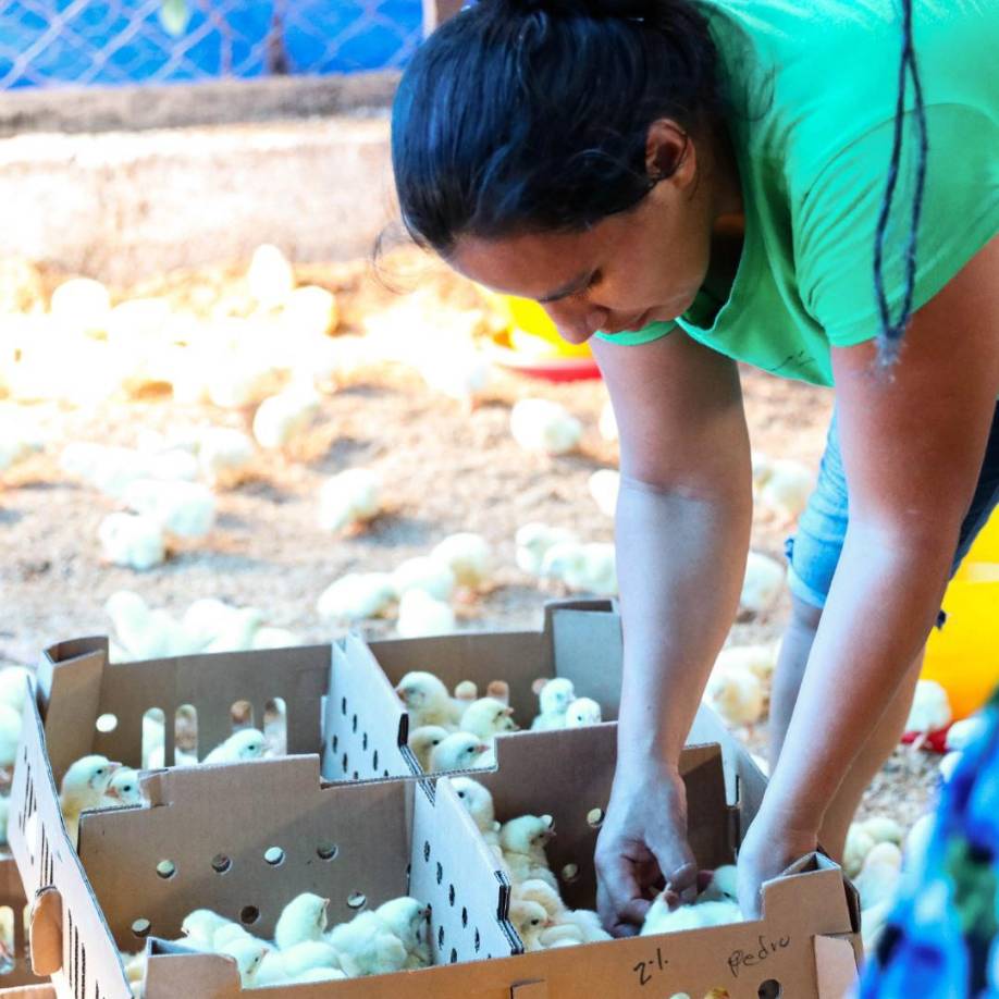 Desde entonces, H&amp;H trabaja para empoderar a las personas que viven en el área rural, con limitadas oportunidades, a través de un cambio sostenible y autodirigido en seis áreas clave: infraestructura, economía, comunidad, salud, educación y liderazgo.