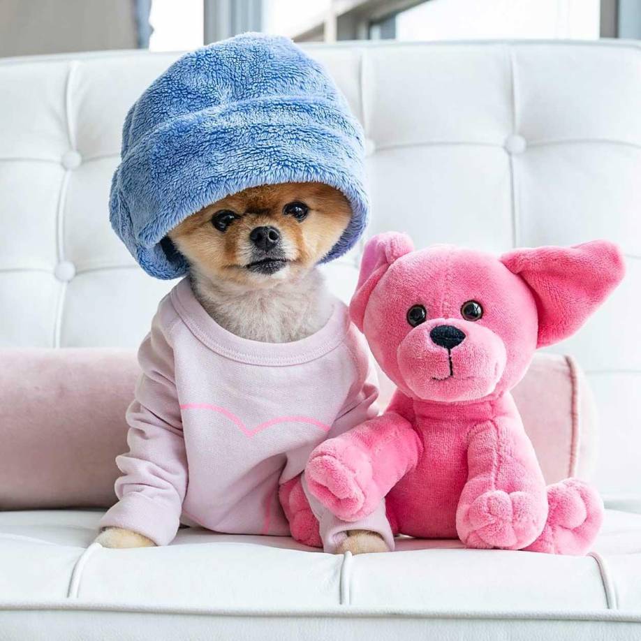 Las cuentas de “petfluencers” más populares suman más de 40 millones de seguidores en Instagram. Además, 907 millones. Este es el número de publicaciones que hay en Tiktok relacionadas con la búsqueda “Funny Animal Memes” (Memes divertidos de animales). El número va en aumento, por lo que puede que, cuando lean estas líneas, haya 1.000 millones.