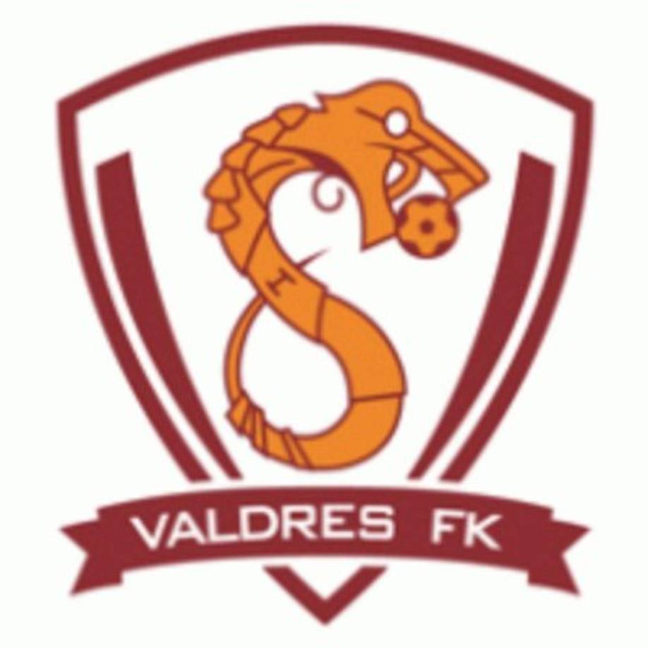 Valdres FK. El logo de este equipo de la segunda división de Noruega tiene forma entre Dragón y Serpiente, ¿qué opinan?