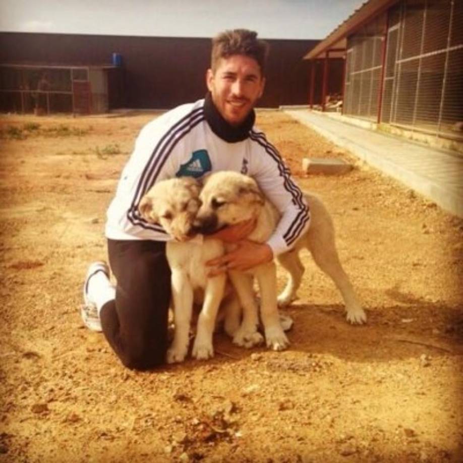 Sergio Ramos con sus dos mastines llamados Nuce y Jackie.