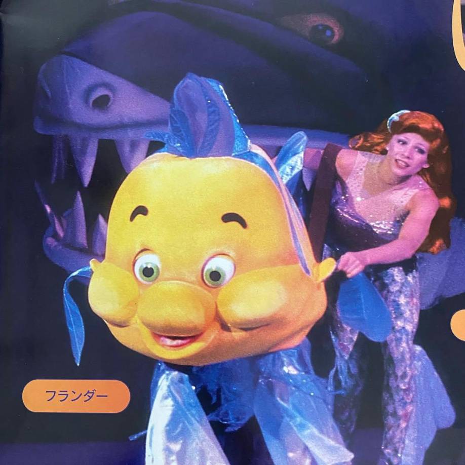 También se informó que Inna Volyanskaya (foto), una ex patinadora que compitió para la Unión Soviética, estaba a bordo del avión, dijo TASS.