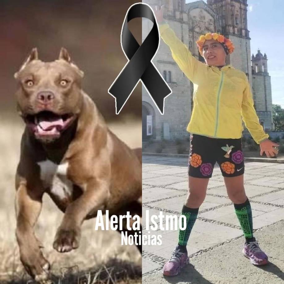 A inicios de mes, la maratonista circulaba en inmediaciones de San Sebastián Tutla, Oaxaca, para ir a visitar a su hija, cuando entre la oscuridad de un taller mecánico, salieron tres animales que la atacaron a mordidas.