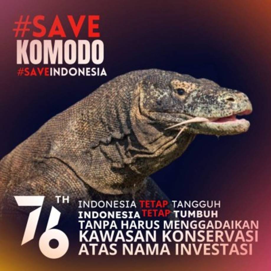 A veces es carnívoro e incluso canibal, es descendiente de los dinosaurios. Solo habita en esa isla y algunas otras de Indonesia. Propaganda indonesia referente al parque y el proyecto.