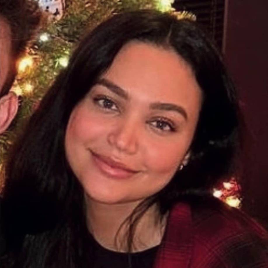 Para encontrar a la actriz de Gossip Girl, Singh inició una campaña a través de la página GoFundMe, con la que buscaban recaudar un total de 20.000 dólares.