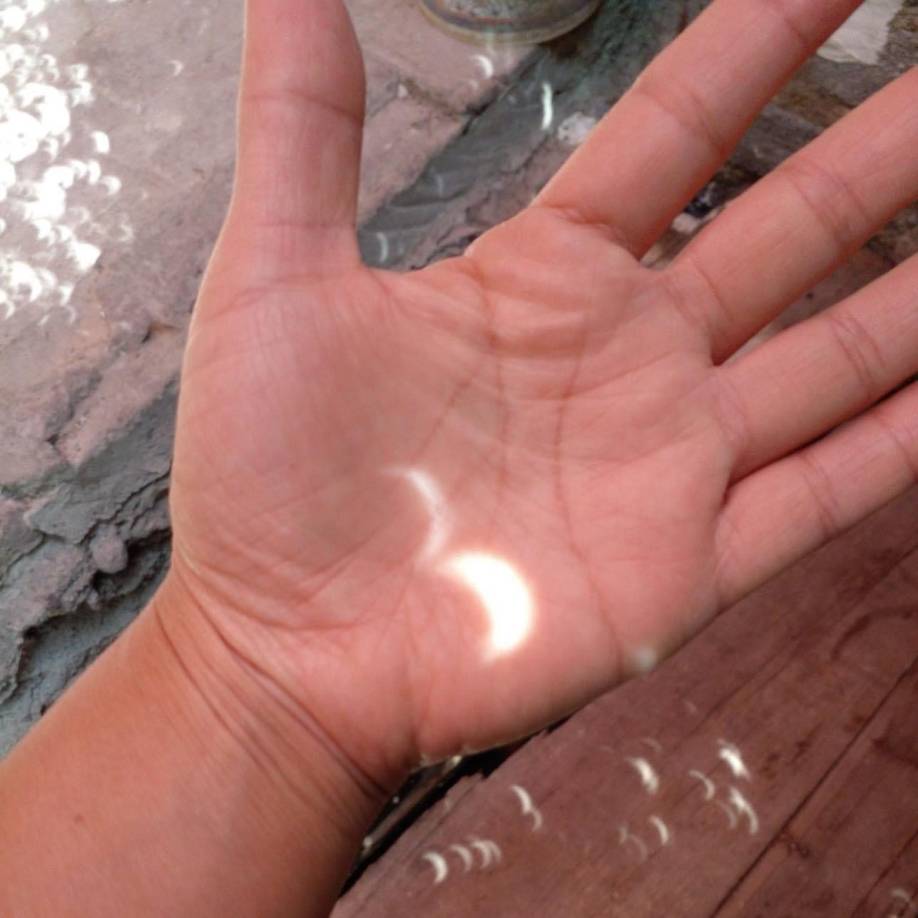 La razón es por el ‘ciclo circadiano’ de los insectos, quienes a través de la evolución han aprendido a vivir entre el día y la noche cuál reloj biológico, es decir, algunos insectos creerán que la noche llegó y es hora de volver a casa, este cambio solo será realmente en México, Estados Unidos y Canadá ya que prevén que se oscurecerá porque tendrán el 100% del eclipse solar.