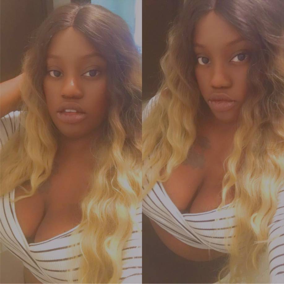 Las unidades policiales de New York State Park Police y la Policía del Estado de Nueva York llevaron a cabo esfuerzos de búsqueda y rescate, aunque estos resultaron infructuosos.