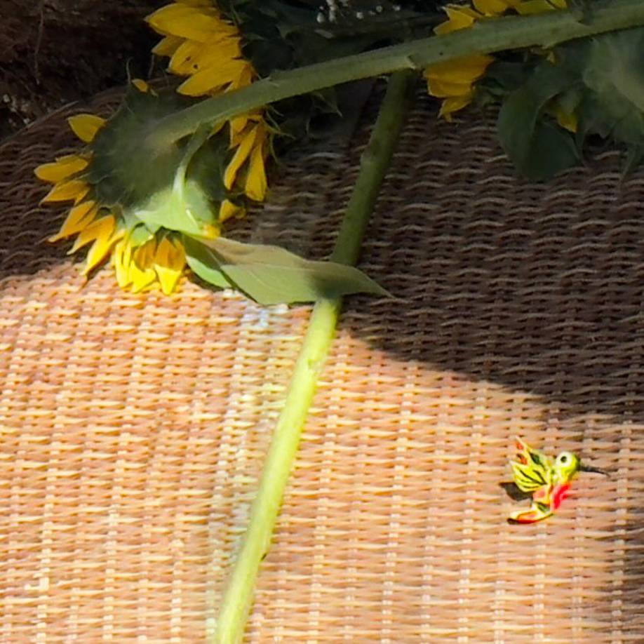 Thalía, conocida por su alegría y energía, mostró una faceta más vulnerable al despedirse de su hermana. En su mensaje, expresó la necesidad de tomarse un tiempo para sanar y encontrar paz espiritual. “Una vez más, gracias por siempre estar. Los amo”, concluyó la cantante, acompañando sus palabras con emoticones de corazón roto y un corazón vendado.