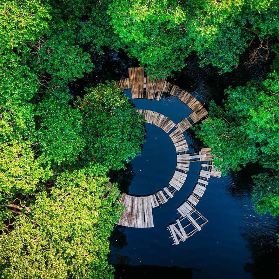 Sin duda la Laguna de Cacao en el municipio de Jutiapa, Atlántida, es uno de los sitios muy apetecidos para los turistas. Aquí se puede hacer un recorrido por la laguna en bicicletas acuáticas y observar la fauna silvestre. 