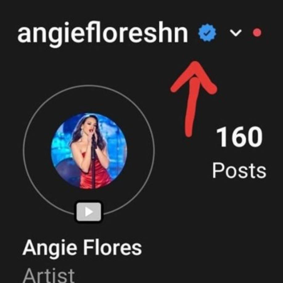 La hondureña colgó un posteo en su Instagram y Facebook para darles la buena nueva a sus fans que pasan muy pendientes de todo lo que ocurre a su alrededor.