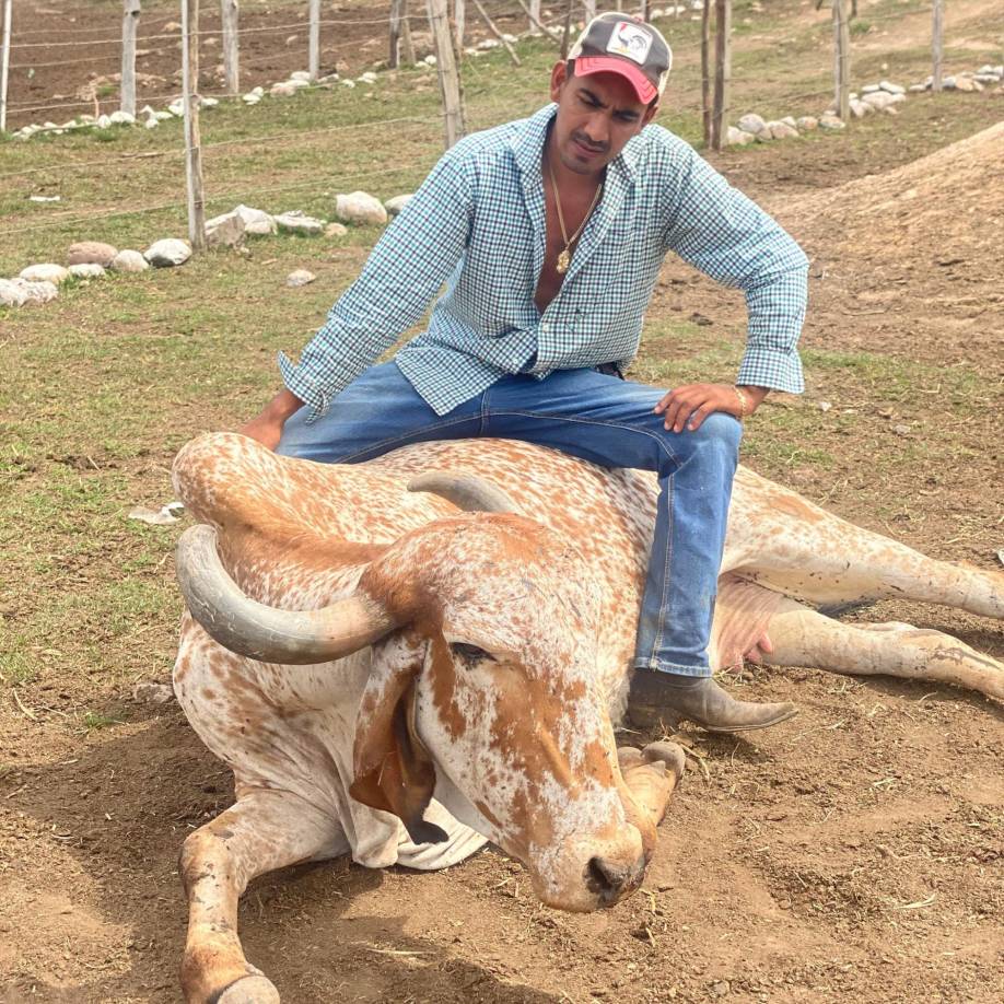 ”Los espiritus me sonríen porque las piedras están en un solo lugar”, se lee.