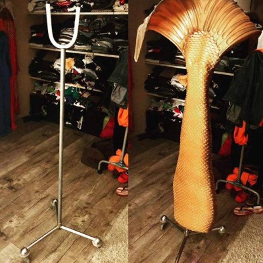 'He vivido en Florida durante dos años y conduje hasta el océano cada vez que tenía tiempo.