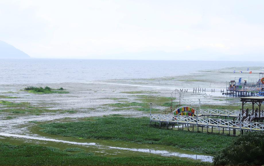 L720 millones destinarán para rescatar el Lago de Yojoa