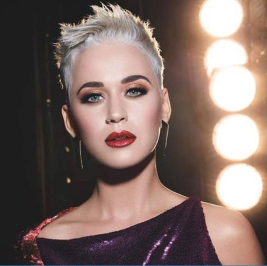 La cantante Katy Perry ralizó un posteo en sus redes sobre el astrofísico.