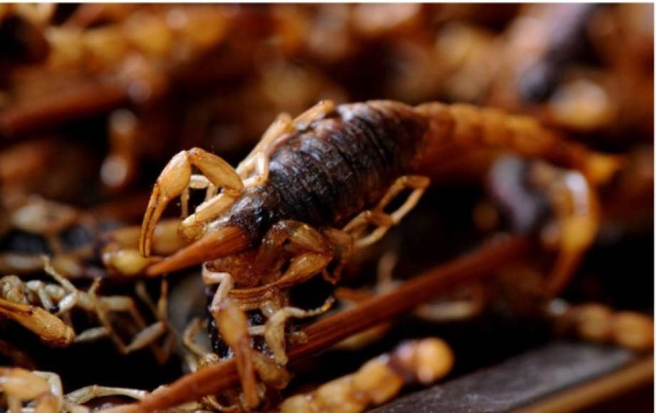 3.- Escorpión.<br/><br/>El escorpión es uno de los platos más apetecidos en China, se sirve asado o frito. conalgún otro acompañante.