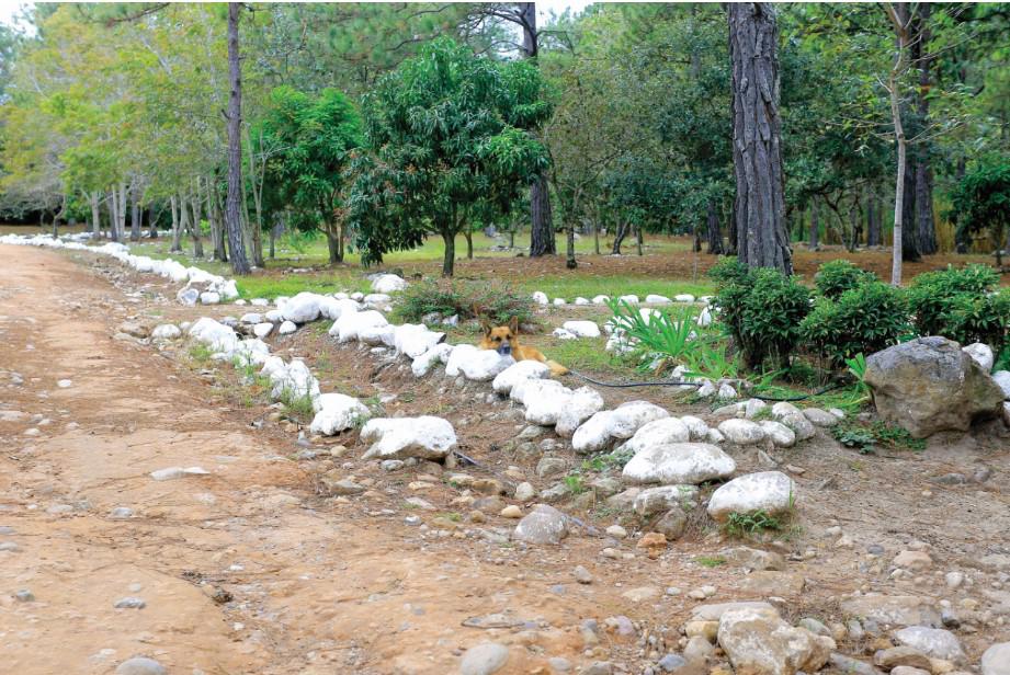 Una enorme finca con profuso bosque es la propiedad estandarte de Hernández en la occidental Gracias.