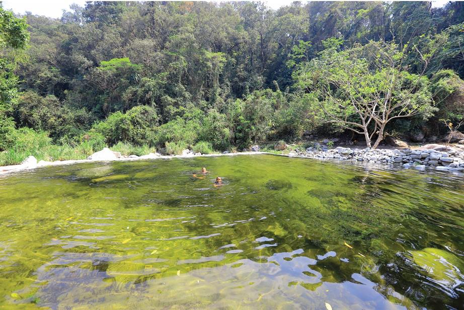 Una poza natural en El Zapotal.