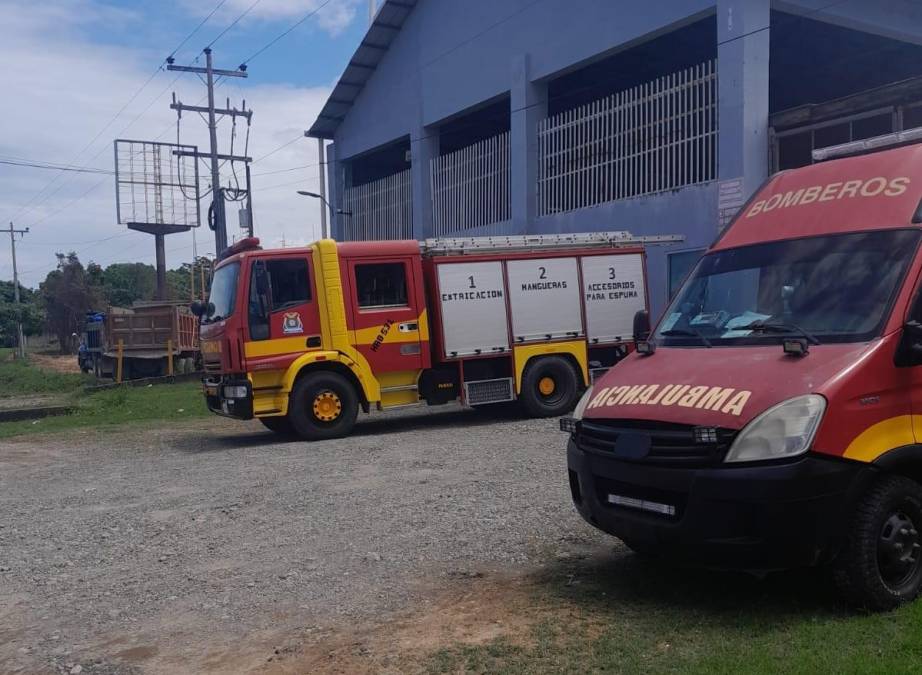 “No pudo escapar”: abejas “asesinas” atacaron a hondureño hasta causarle la muerte