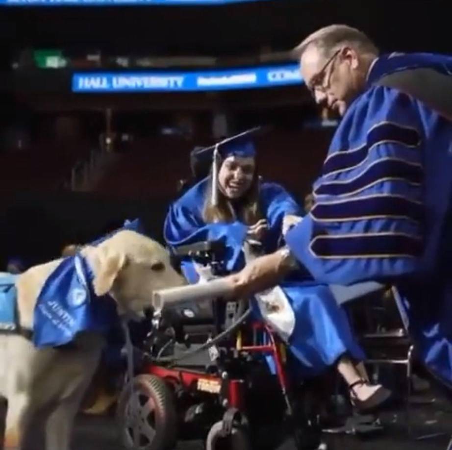 Cabe señalar que, en Estados Unidos es muy común ver perritos asistir junto a sus dueños a las universiddes escuelas y colegios.