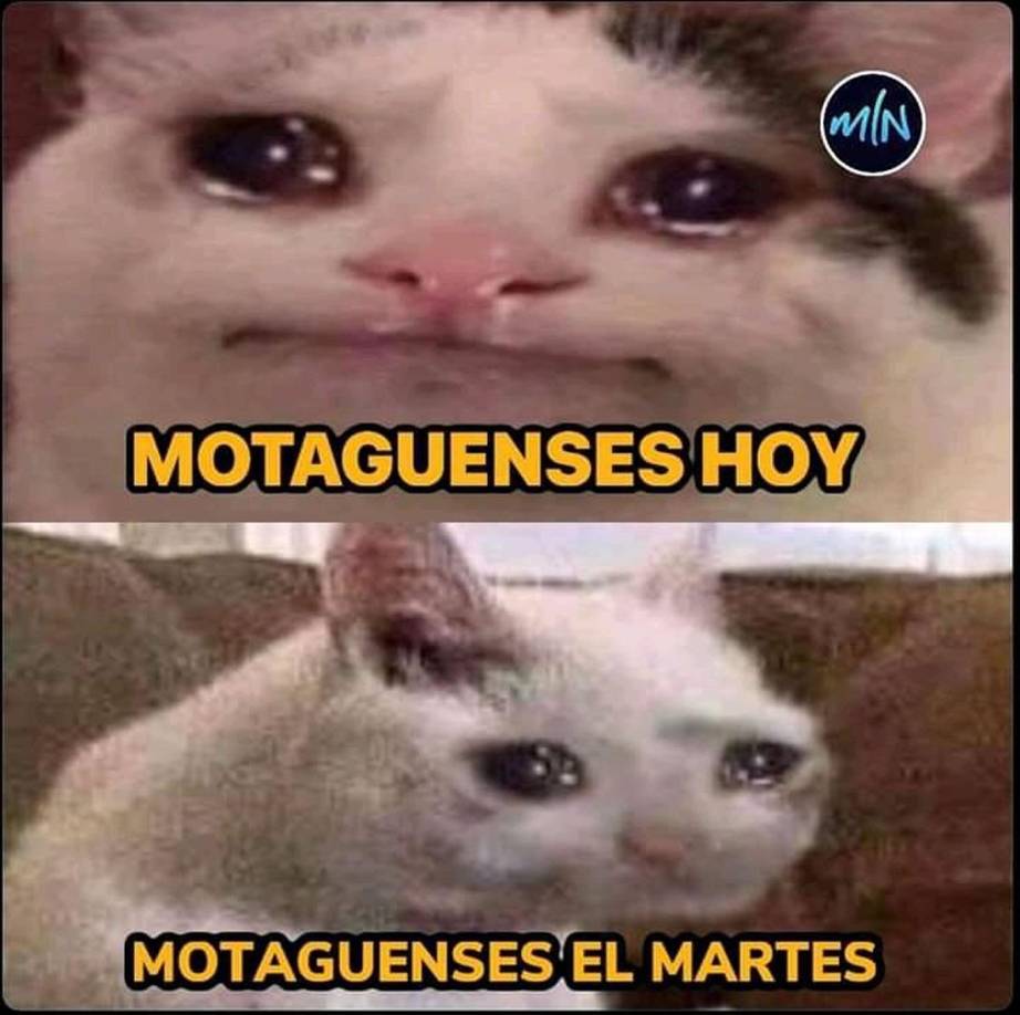 Los memes destrozan a Motagua y a Vida tras quedar fuera de la final ante Real España y Olimpia