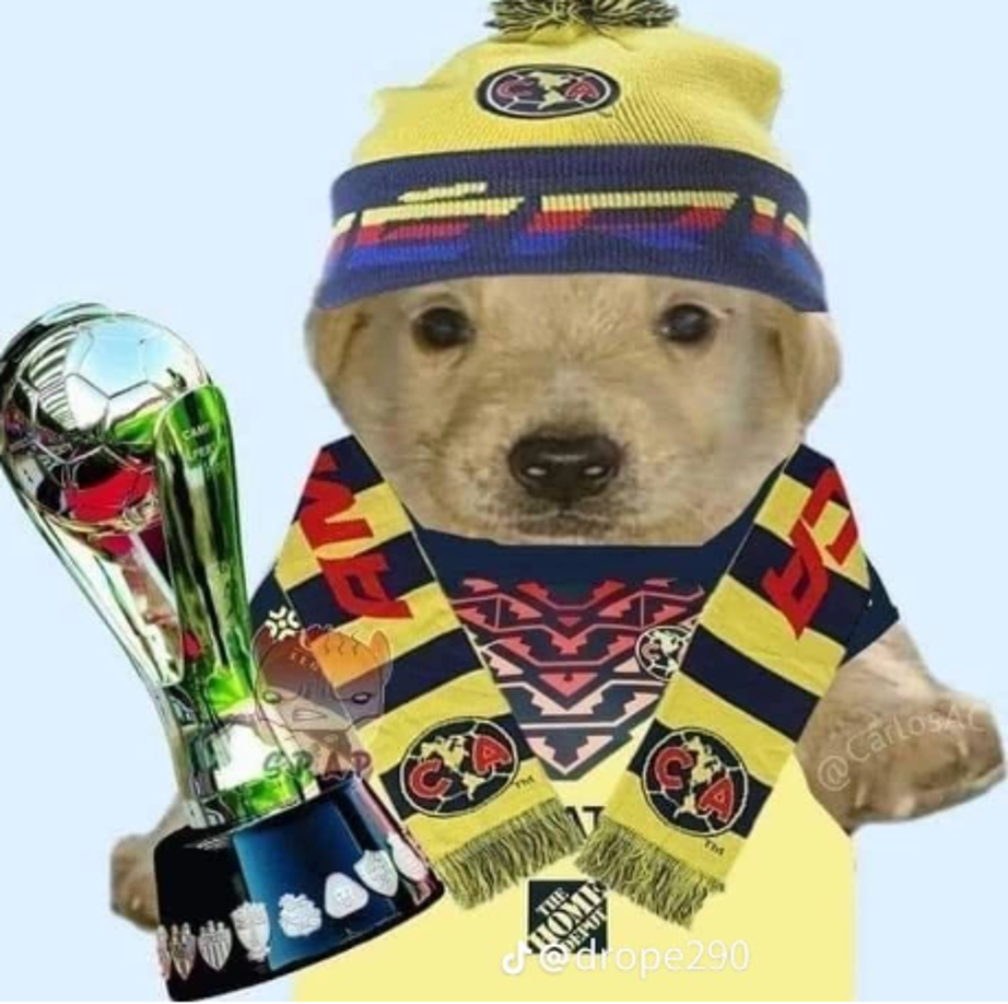 América-Tigres: Los jocosos memes que dejó la final de la Liga MX